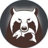 Telegram profile photo for Русская рыбалка 4 | Где клюёт рыба?