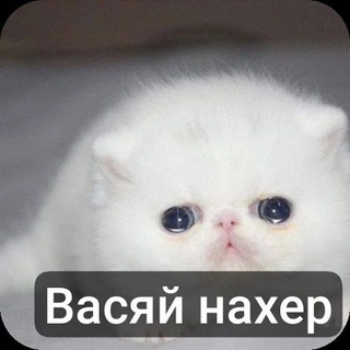 Telegram profile photo for беседа номер 1