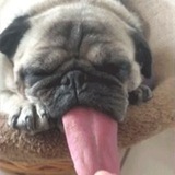 Telegram profile photo for —