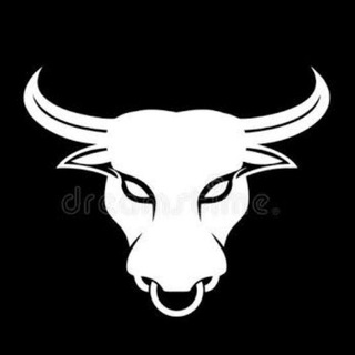 Telegram profile photo for TAUROHUB