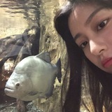Telegram profile photo for ʚ Minah Kang ୨୧‧₊˚