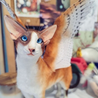 Telegram profile photo for Sofia_ermilova