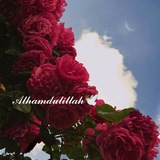 Telegram profile photo for Paradise🕊