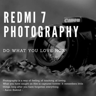 Telegram profile photo for Redmi 7 | Photography Gallery