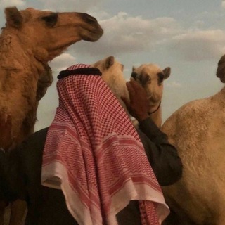 Telegram profile photo for دَار .