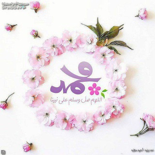 Telegram profile photo for قرأني حياتي🌺🌙
