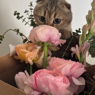 Telegram profile photo for одинокий искусствовед
