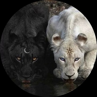 Telegram group profile photo for 333 Спонтанца