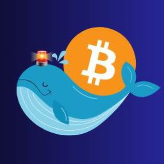 Telegram profile photo for Crypto Whale Updates