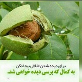 Telegram profile photo for روانشناسی موفقیت و ثروت