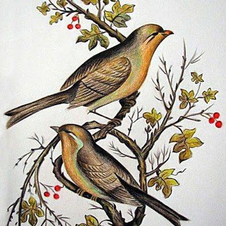 Telegram profile photo for هزلیّات ،هجویّات ومطایبات