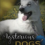 Telegram profile photo for ʍysᴛᴇriᴏus dᴏgs 🐶