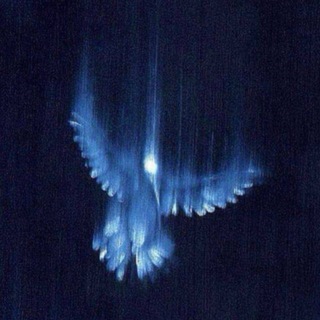 Telegram profile photo for Переходник