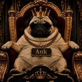 Telegram profile photo for Приписка AnkRovs