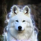Telegram profile photo for 📍🐾