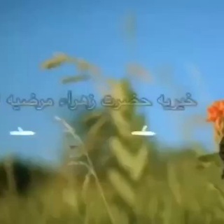 Telegram profile photo for کانال خیریه حضرت زهرا مرضیه (س)