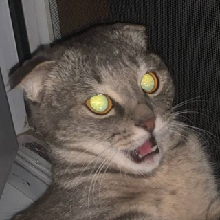 Telegram profile photo for Краткий и Ёшка канон