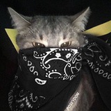 Telegram profile photo for BAKXAL STAJLAR