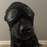 Telegram profile photo for $ТАПАЛКА$