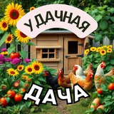Telegram profile photo for Удачная дача: от грядки до курятника|НСО 54