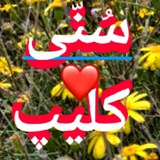 Telegram profile photo for 📺سُنّی کلیپ📺