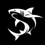 Telegram profile photo for SHARK OF DARK