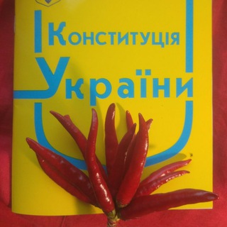 Telegram profile photo for БАТЬКИ канал