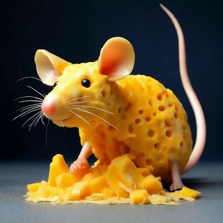 Telegram profile photo for СЫРНАЯ КРЫСА И Ко🧀