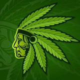 Telegram profile photo for Green House