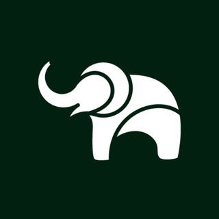 Telegram profile photo for Ставрополь любимый