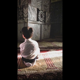 Telegram profile photo for صدفه