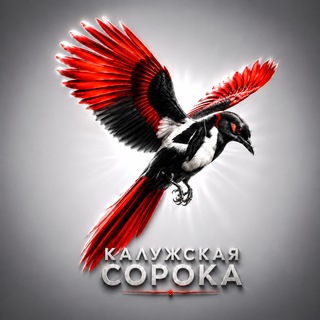 Telegram profile photo for Калужская SoроКа