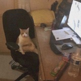 Telegram profile photo for Андэшка