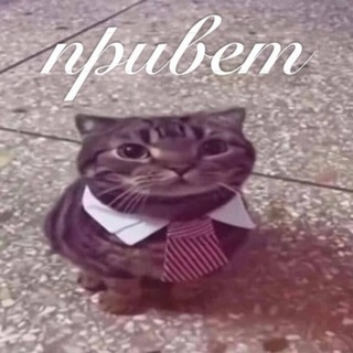 Telegram profile photo for шакалстритрейсинг | assetto corsa