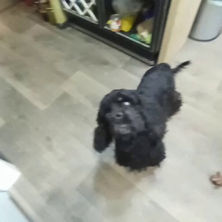 Telegram profile photo for В сарае у братвелона