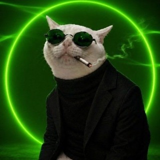 Telegram group profile photo for Spinor Buy Tracker | Community Raiding