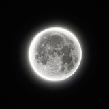 Telegram profile photo for RᴇvᴇrᴀnsᴇLG ʙiᴏ