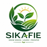 Telegram profile photo for Sikafie Investment