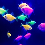 Telegram profile photo for портфолио берг вп