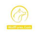 Telegram profile photo for Fx Scalping Pro (EA)