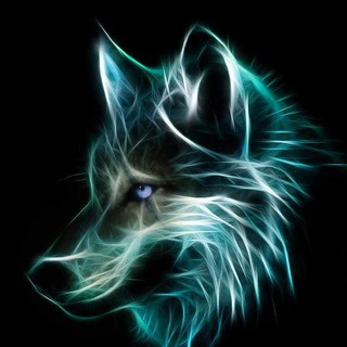 Telegram profile photo for BrenTheWolf GAMBLE