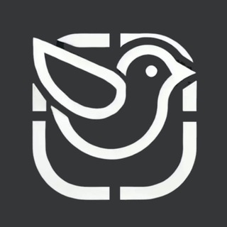 Telegram group profile photo for P2Pigeon