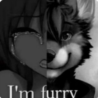 Telegram profile photo for TheLiviX ┃ FURRY