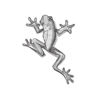 Telegram profile photo for Zelenka Studio | Ландшафтный дизайн | Архитектура
