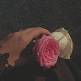 Telegram profile photo for زَّهْـرَتُه🦋.