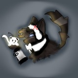 Telegram profile photo for "-|Studio Nightmare|-"