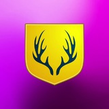 Telegram profile photo for Свинганутый ФриМен