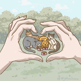 Telegram profile photo for Миска Дорожника