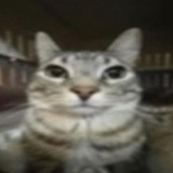 Telegram profile photo for Арты тапка