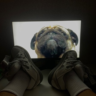 Telegram profile photo for tommy shop
